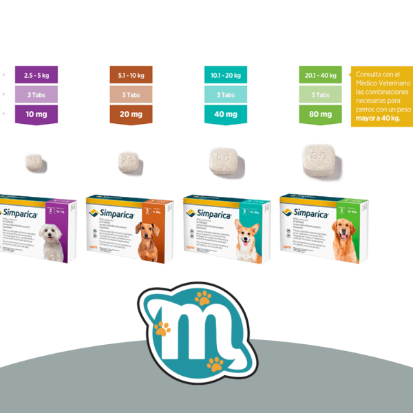 Post de instagram producto creativo púrpura y fucsia (13)