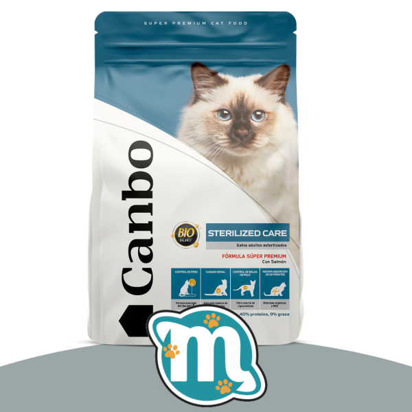 Post de instagram producto creativo púrpura y fucsia (30)