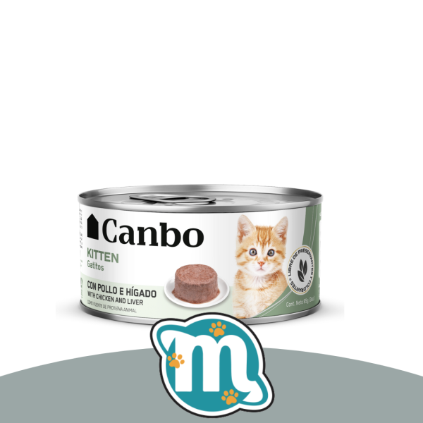 Post de instagram producto creativo púrpura y fucsia (33) canbo gatito lata