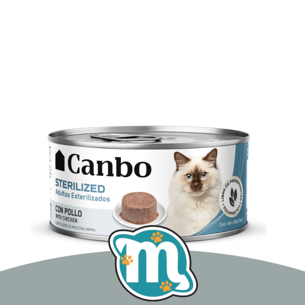 Post de instagram producto creativo púrpura y fucsia (35)