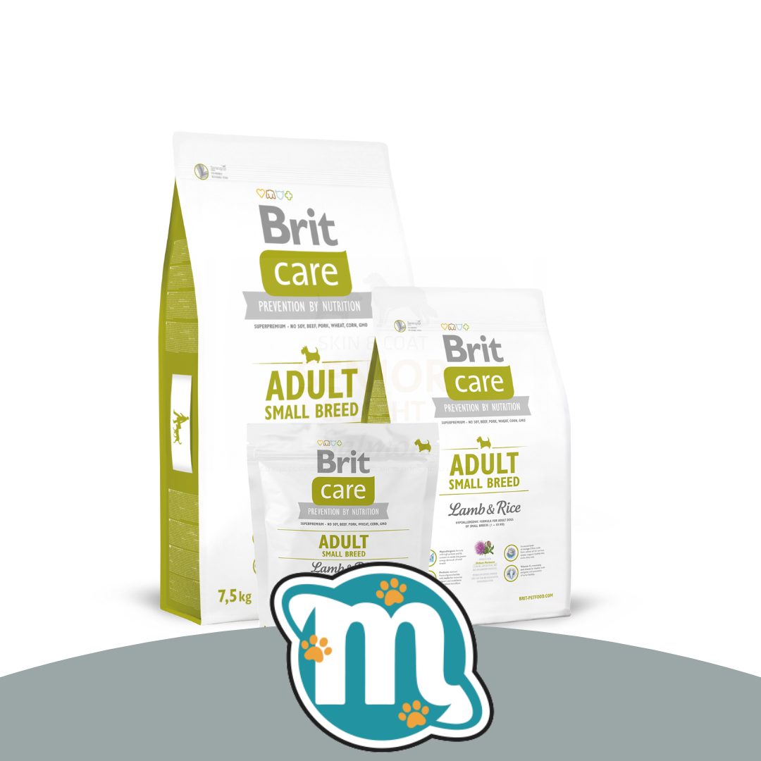 Post de instagram producto creativo púrpura y fucsia (69)